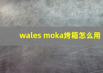 wales moka烤箱怎么用